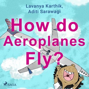 How do Aeroplanes Fly? (EN)