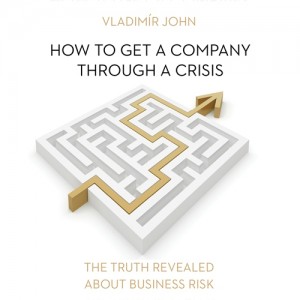 How to get a company through a crisis (EN)