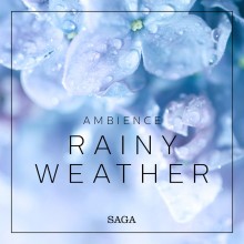 Ambience - Rainy Weather (EN)