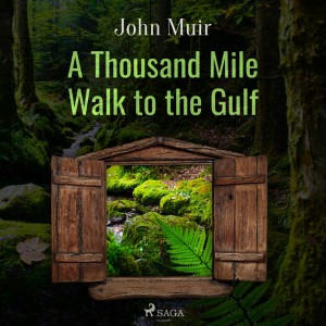 A Thousand Mile Walk to the Gulf (EN)